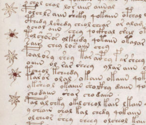 Voynich manuscript