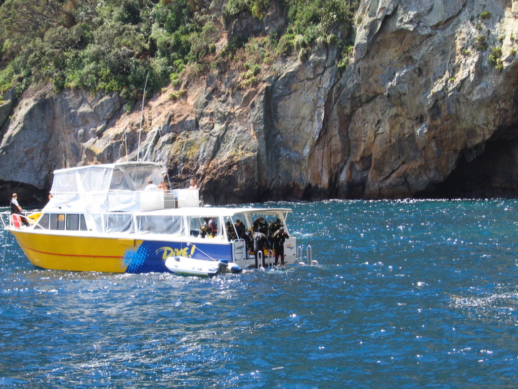 Dive boat from Dive Tutukaka, New Zealand, at the Poor Knights Islands