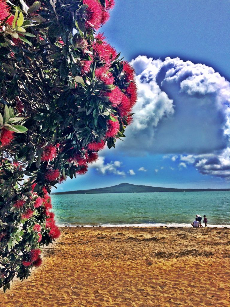 Rangitoto Island from Kohimarama Beach, Auckland, New Zealand. Photo by J.F.Penn