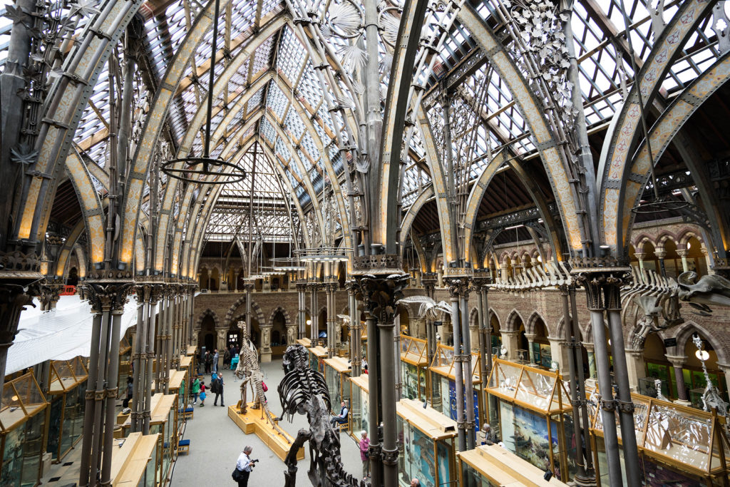 12 Of The World's Most Unusual Museums - Books And Travel : The incredible photo showing a beautiful landscape. Its tones are just vibrant and combination ideally. Its composition looks great, and its features are also extremely defined.