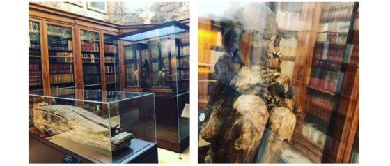 Mummies in the library, Convent de Carmo, Lisbon, Portugal. Photos by JFPenn