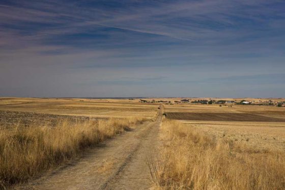 Bleak & exposed landscape near Zamora. Photo copyright Derry Brabbs. Used with permission.