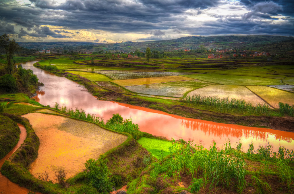Landscape with the rice fields and Onive river at Antanifotsy in Madagascar.