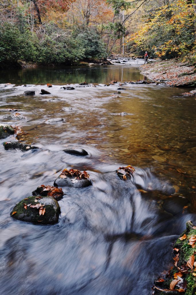 Fly fishing