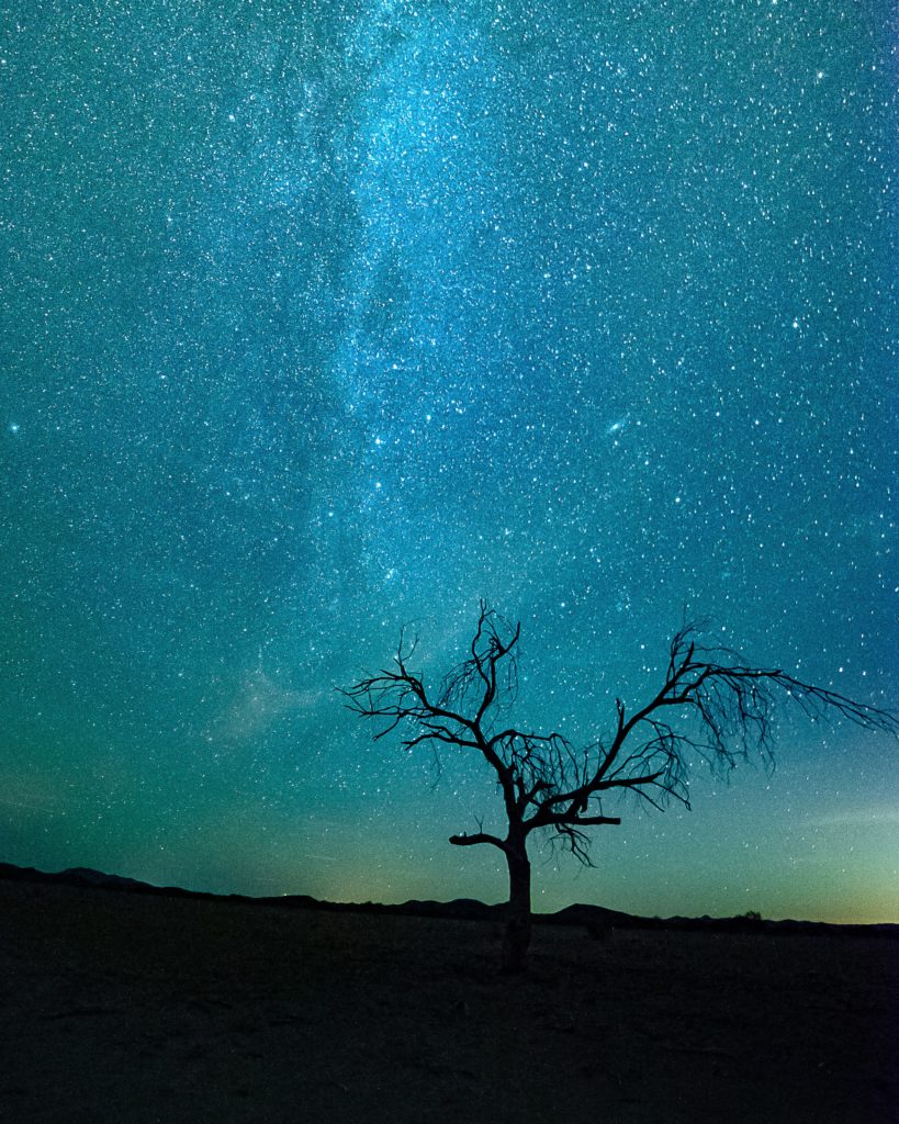 Starry night. Photo by Tom Gainor on Unsplash