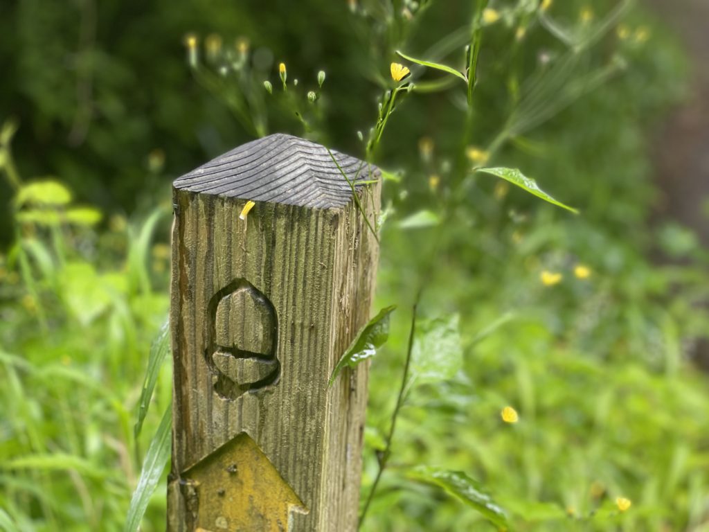 South West Coast Path Acorn Marker on Post. Photo by JFPenn