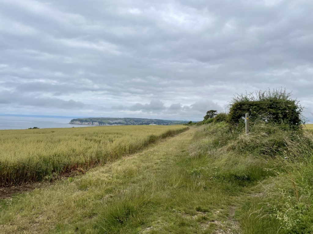 South West Coast path with view down to Seaton. Photo by JFPenn