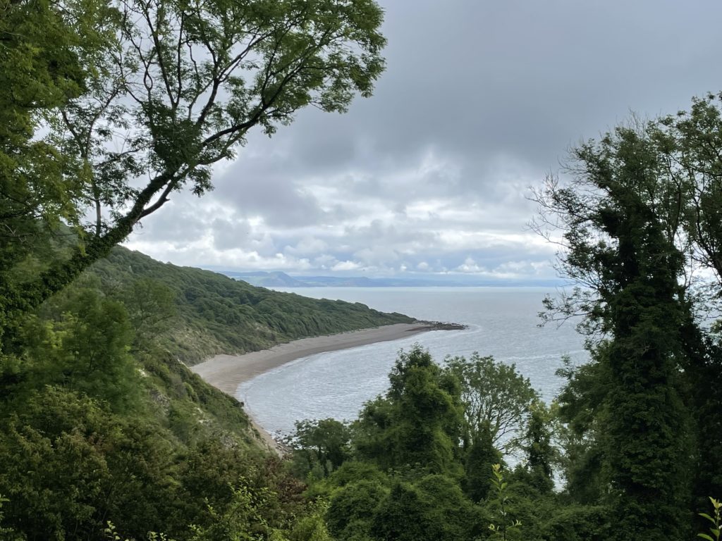 View of the sea from South West Coast Path halfway from Lyme Regis to Seaton. Photo by JFPenn