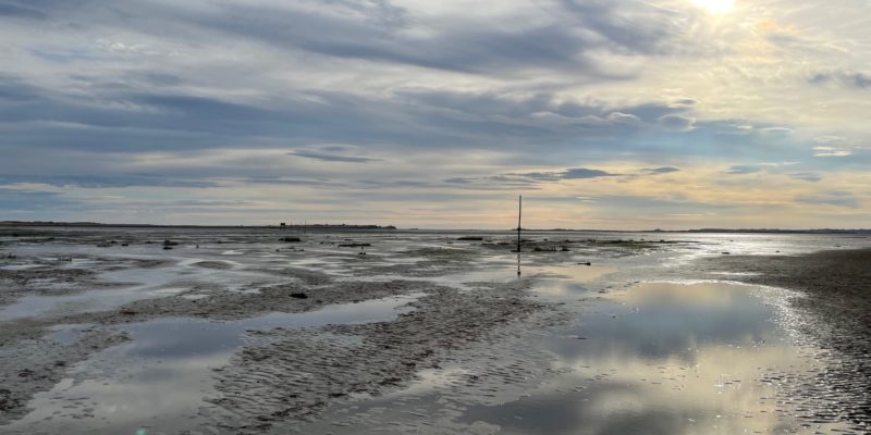 About to cross the sands towards Holy Island Photo by JFPenn