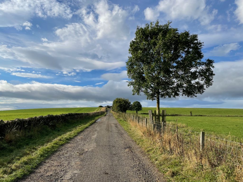 Quiet rural road walking on the St Cuthbert's Way Photo by JFPenn