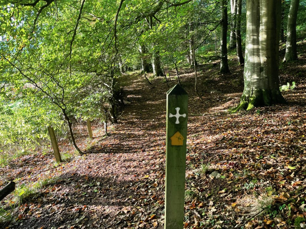 St Cuthbert's Way sign in woods near Melrose Photo by JFPenn