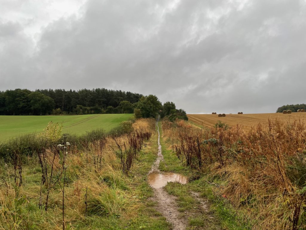 Walking away from Jedburgh in the rain on the St Cuthbert's Way Photo by JFPenn