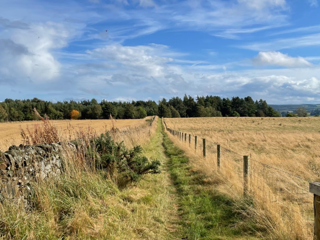 Walking by a field on the St Cuthbert's Way near Jedburgh Photo by JFPenn