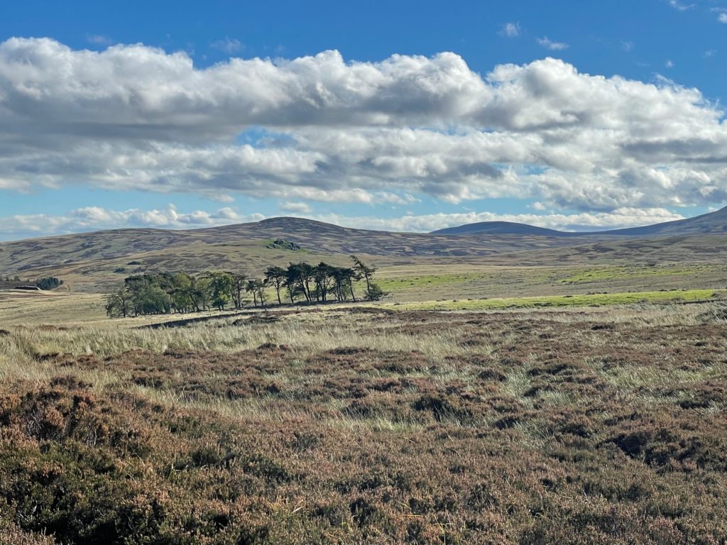 Walking over the Cheviot Hills on the approach to Wooler Photo by JFPenn