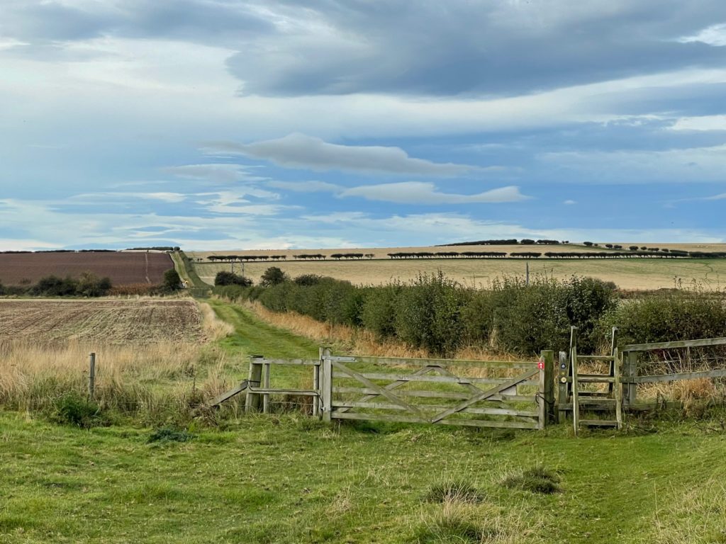 Walking towards the Lindisfarne Crossing on St Cuthbert's Way Photo by JFPenn