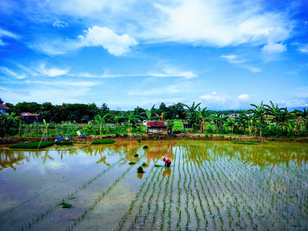 Sulawesi. Photo by Arief Hidayat on Unsplash