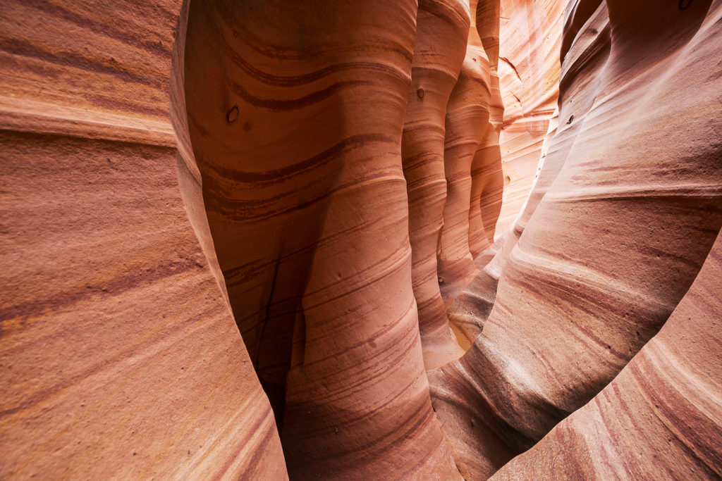 Slot canyon in Grand Staircase Escalante National park, Utah, USA. Photo licensed from BigStockPhoto.