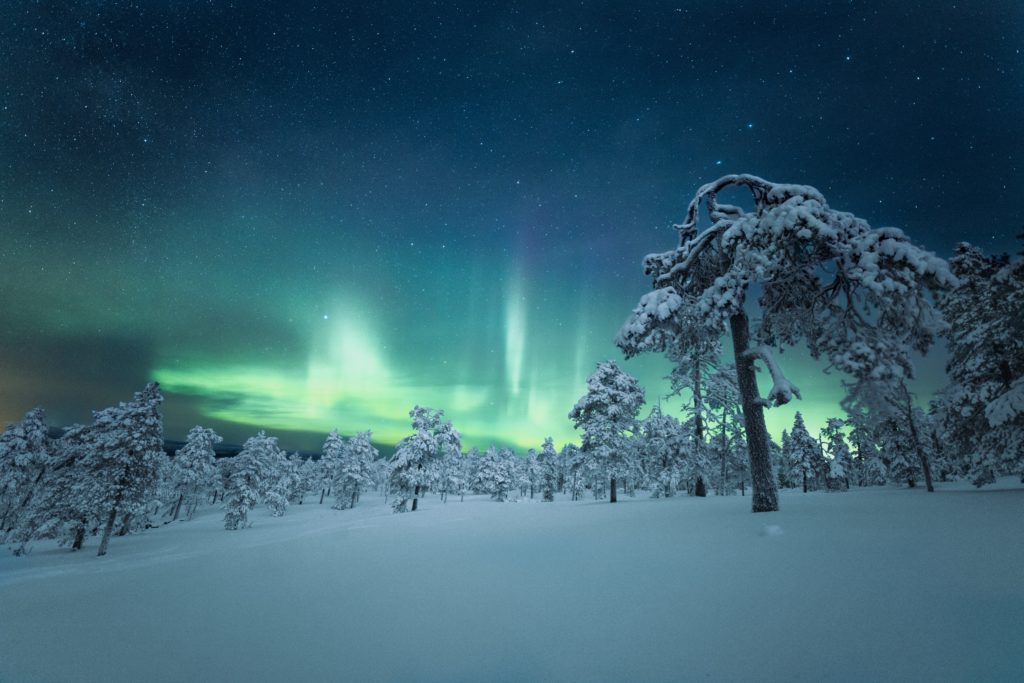 Lapland, Photo by Maria Vojtovicova on Unsplash