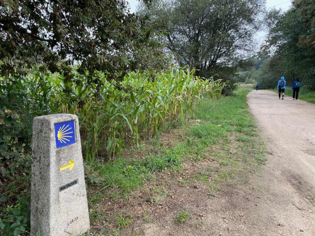 Agricultural section of Camino on the way to Caldas de Rei Photo by JFPenn