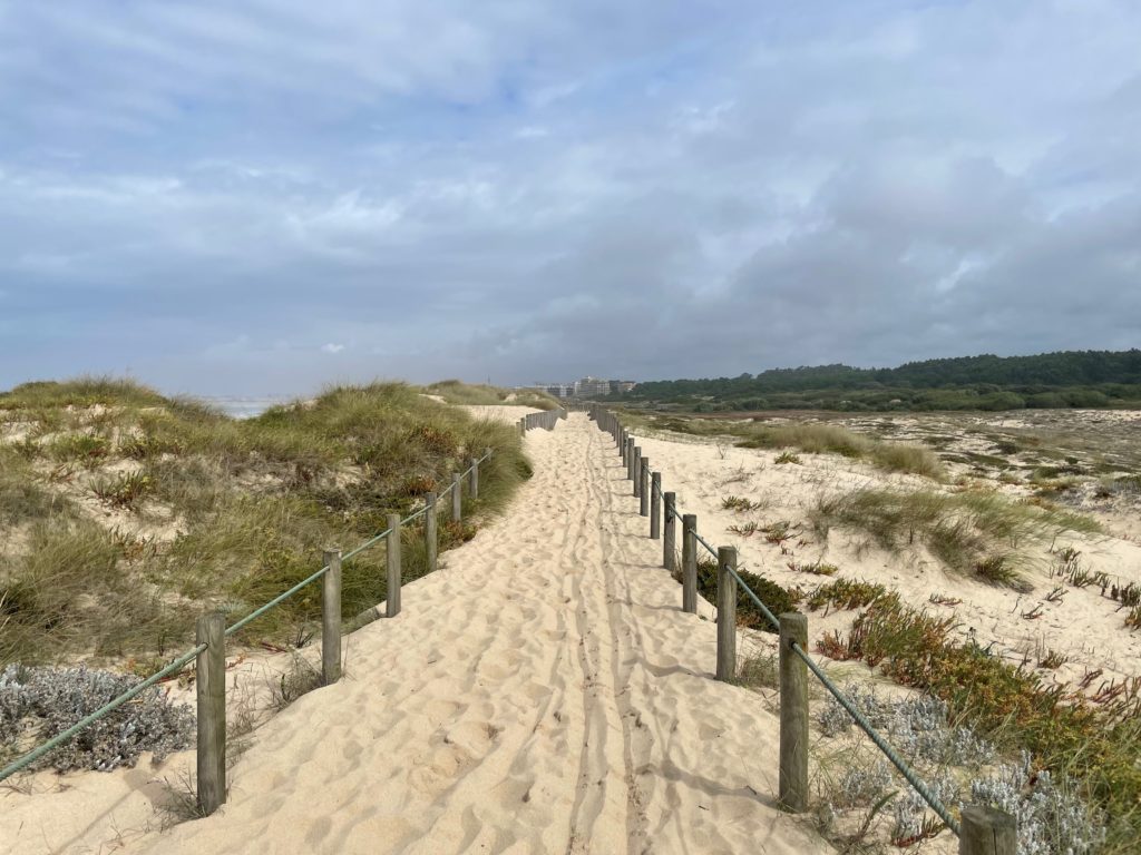 Dunes overtake the path Photo by JFPenn