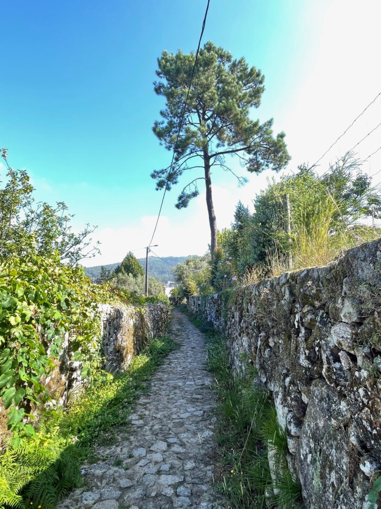 Stony path at Afife Portugal Photo by JFPenn