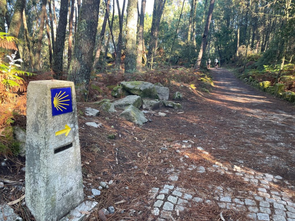Woodland path on the way to Pontevedra Photo by JFPenn