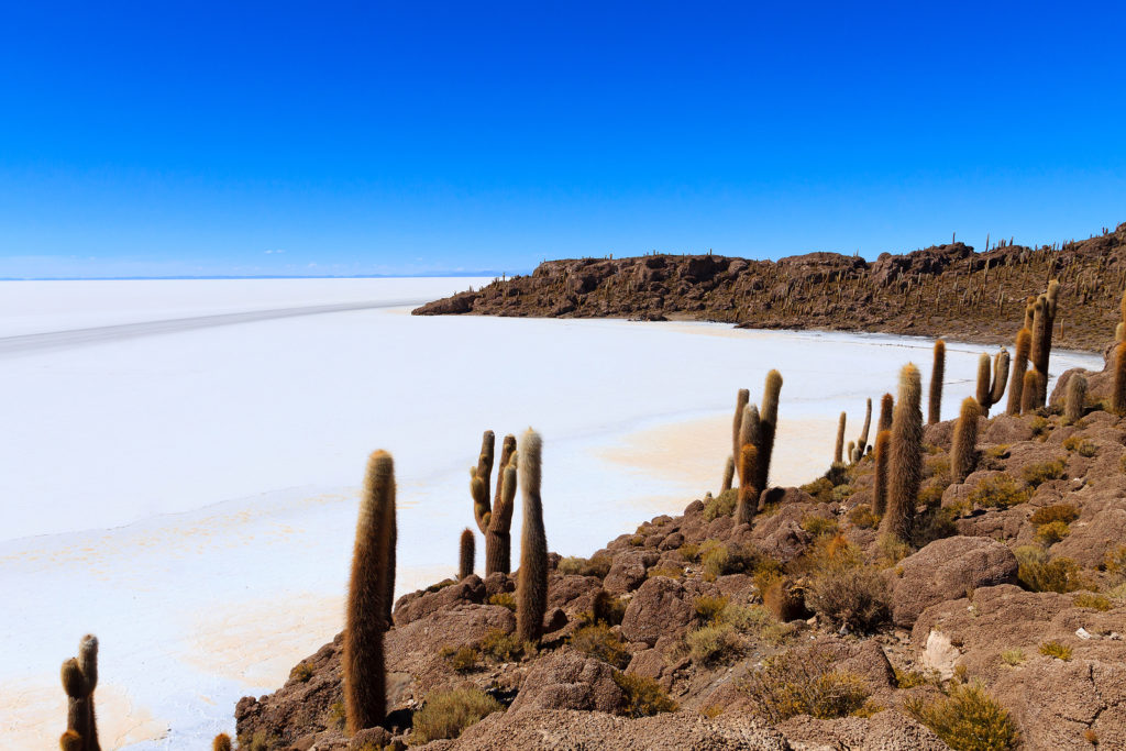 Salar de Uyuni view from Incahuasi island, Bolivia. Largest salt flat in the world. Bolivian landscape