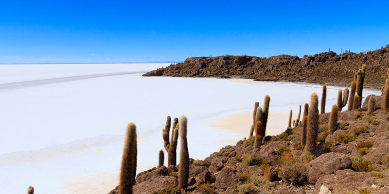 Salar de Uyuni view from Incahuasi island, Bolivia. Largest salt flat in the world. Bolivian landscape