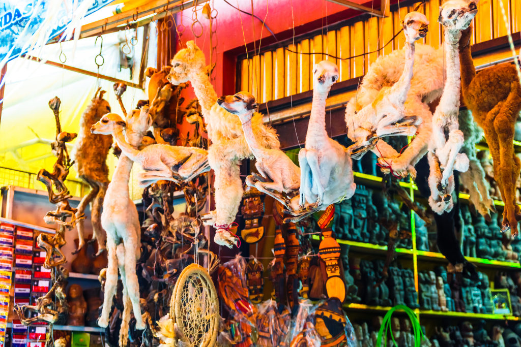 Witchcraft market, La Paz, Bolivia. Photo licensed from BigStockPhoto