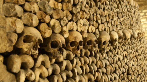 Paris catacombs, Photo licensed from Canva