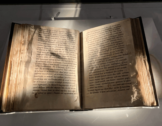 York Gospels York Minster Photo by JFPenn