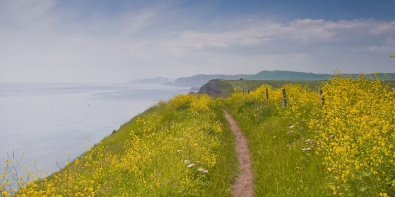south west coast path canva